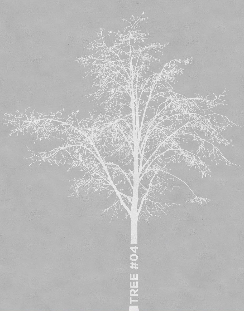 Outdoor wallpaper TREE by Wall&decò design BPM Studio