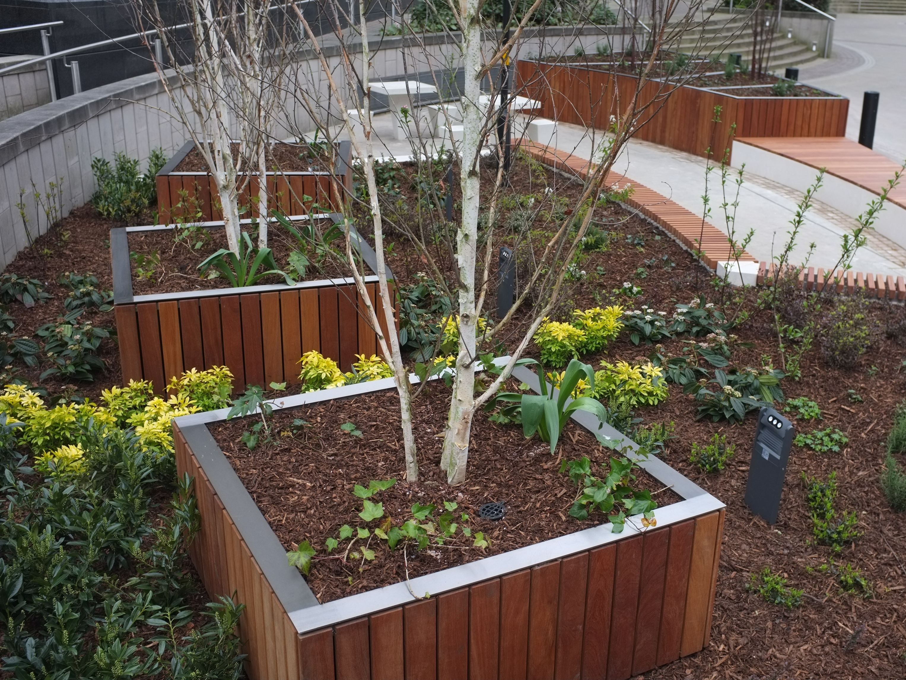 Wooden Flower pot TREE 1000 by Factory Street Furniture