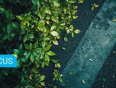 Depaving: come la depavimentazione ridisegna la città resiliente