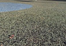 Massetti drenanti e antitrauma: il legante poliuretanico pronto all