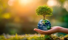 In vigore da oggi i nuovi CAM edilizia