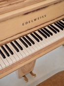 Timbra | Kelly Wearstler x Edelweiss - photo Giulio Ghirardi