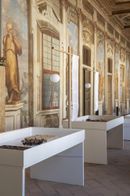 'Foto ©Jessica Soffiati',