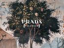 Prada Frames - In Sight