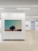 The New American West, Exhibition view ©Alessandro Saletta - DSL Studio