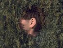 Responsive Nature Artwork by Brooke DiDonato - courtesy Galerie Wilm