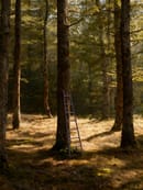 Scaletta - TUBES “Beyond Wormth” - photo Filename Studio