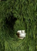 Responsive Nature by Elisa Ossino Studio, Garden Senato 