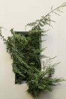 Responsive Nature by Elisa Ossino Studio, Garden Senato 