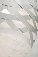 DAVID TRUBRIDGE - Tui Light - Detail