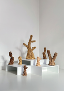 A Structured Garden by Ji-youn Woo