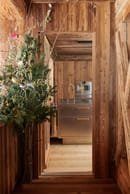 Abimis Ego - photo Colin Dutton