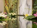 L'installazione di Antolini e Bang & Olufsen alla MDW 2026
