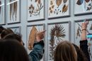 Museo Scienze Naturali