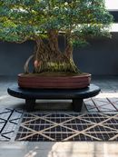 Jaipur Rugs - FACES at Crespi Bonsai Museum - Ph. Courtesy of Jaipur Rugs