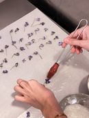 Design for Food di POLI.design