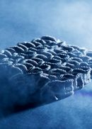 Ph. Massimo Gardone Azimut