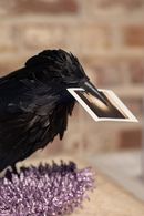 META-MORPHOSA by Patricia Urquiola - Ph. Caroline Dethier