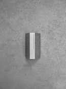 Centolire Multitools, copertina di Martino Bizzanelli