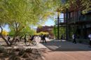 Ten Eyck Landscape Architects, Arizona State University Polytechnic. Photo: Bill Timmerman