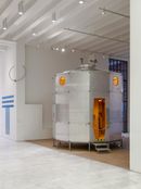 Foto/Photo Andrea e Filippo Tagliabue- FTfoto, © Triennale Milano