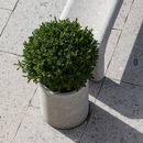 Vaso Lapis in travertino