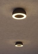 Ribeira a soffitto, design David Chipperfield