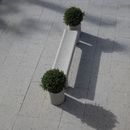 Panca Tinia e vaso Lapis, Veltha