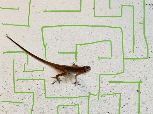 Maurizio Cattelan, Senza titolo, 2002