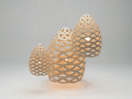 DAVID TRUBRIDGE - Tui Light - Portrait all sizes