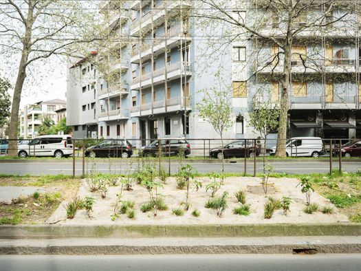E SE LA 90/91 DIVENTASSE UNA FORESTA? MILANO SPERIMENTA IL GREEN CIRCLE