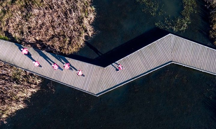 Kokkedal Climate Adaptaion. Photo: Carsten Ingemann