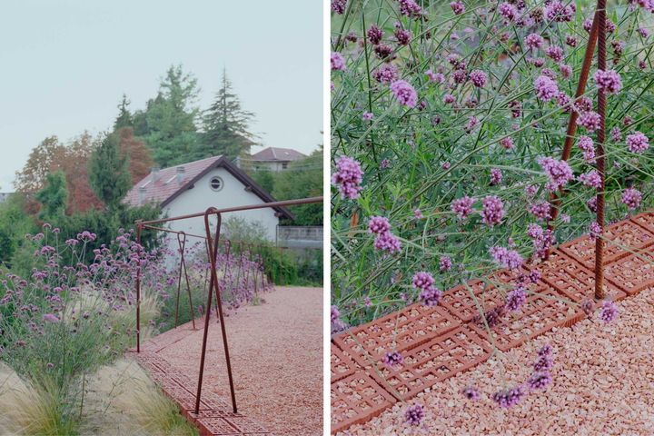 Pavimentazione permeabile e verbena per impollinatori in The Brick Garden di a25architetti - Crocefieschi / Italia / 2025 | © Foto: Marcello Mariana
