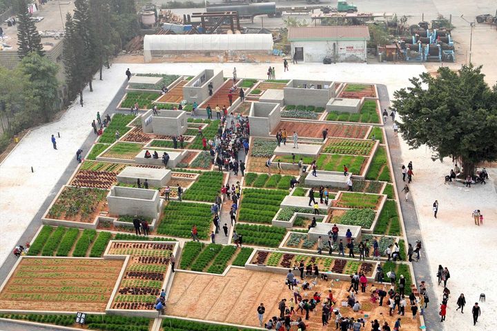 Agricoltura urbana e comunità si integrano in Value Farm di Thomas Chung - Hong Kong / 2013 | © Foto: Thomas Chung + Value Farm