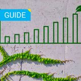 Cemento ecologico: verso una progettazione sostenibile 