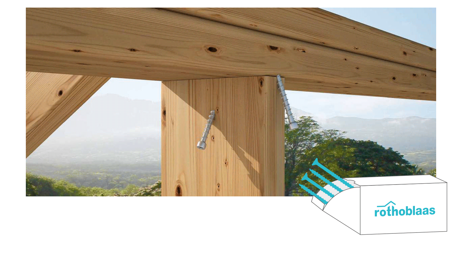 Viti e nuovo catalogo Rothoblaas