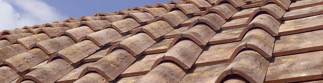 SOLAVA