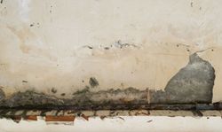 Umidità dalle fondazioni: quando il Condominio risponde dei danni