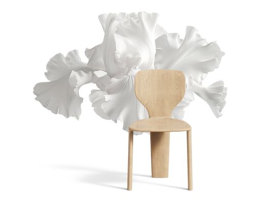 A Sculptural Chair Inspired by a Flower