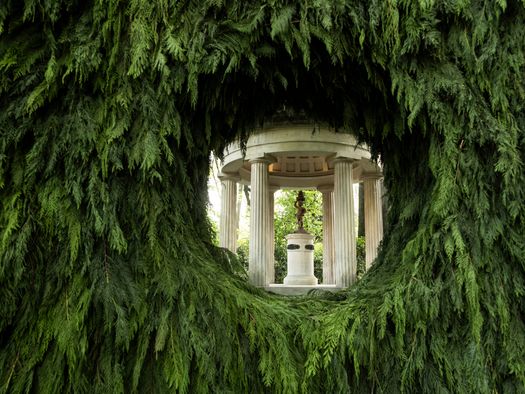 Responsive Nature, the Site-Specific Installation by Elisa Ossino
