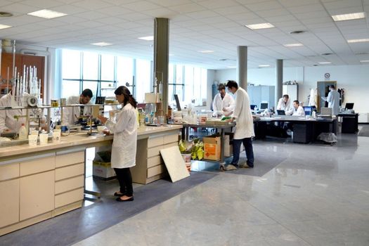 ZERO-ZHERORISK: dove si indirizza la ricerca scientifica di LITOKOL