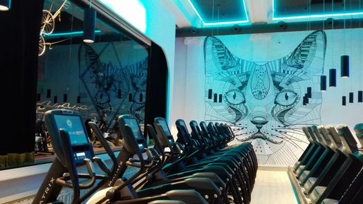 Gerflor: un antico teatro in stile Liberty si trasforma in moderna palestra