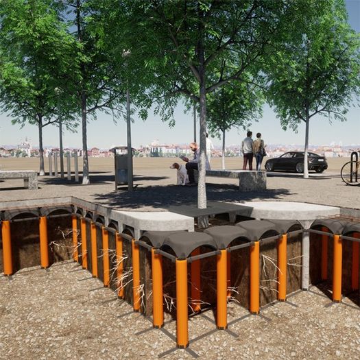 La città di Riccione tutela il verde con Cupolex Radici di Pontarolo Engineering