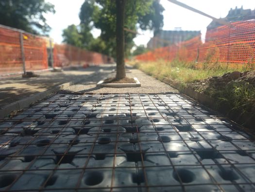 Cupolex Radici Esistenti, il sistema per non abbattere gli alberi in ambiente urbano
