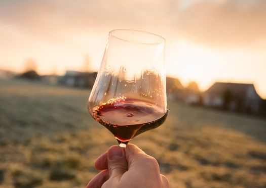 Quanta acqua serve per fare il vino? Con la depurazione la si può riutilizzare per l’irrigazione