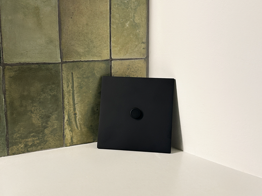 Architectural Control as an Integrated System