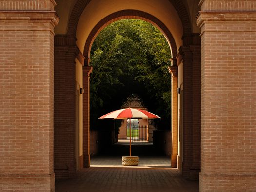 The Ethimo Sun Umbrella Inspired by the Ginkgo Biloba