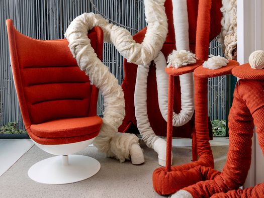 From Territory to Living Material