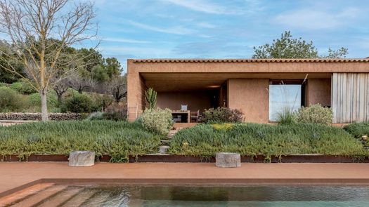 How to design a garden in 6 steps: guide with ideas, examples and tips