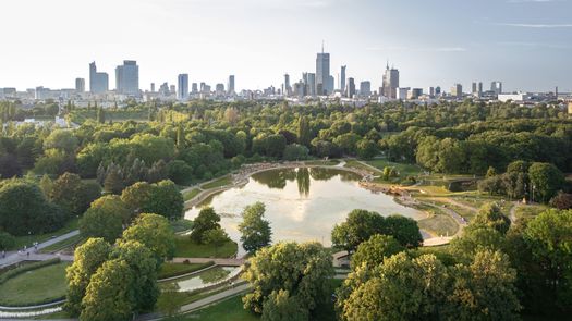 Urban Heat Island Effect: 4 Smartest Solutions to Cool Cities Down